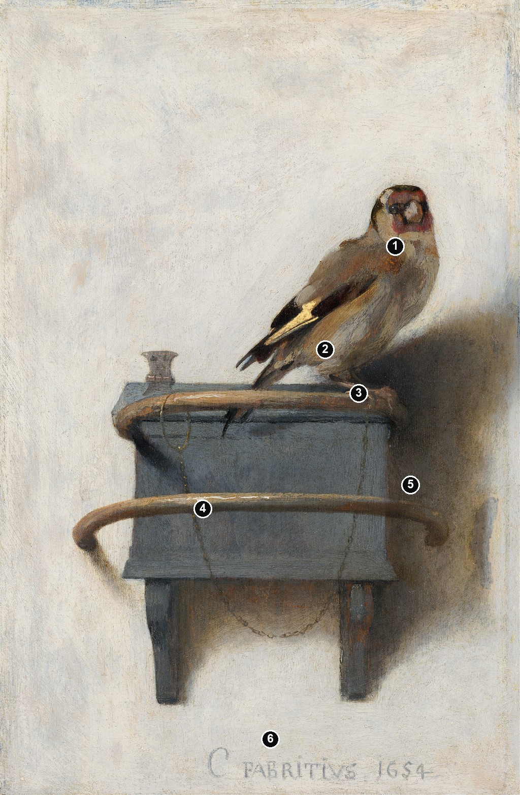 Annotated details from The Goldfinch by Carel Fabritius